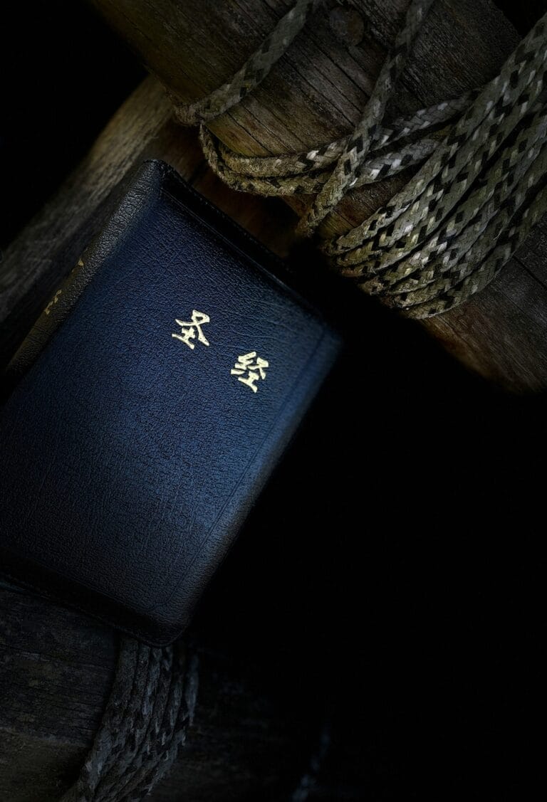 chris-liu-KXfyfEUtl94-unsplash