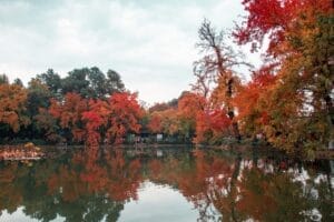 Xuzhou